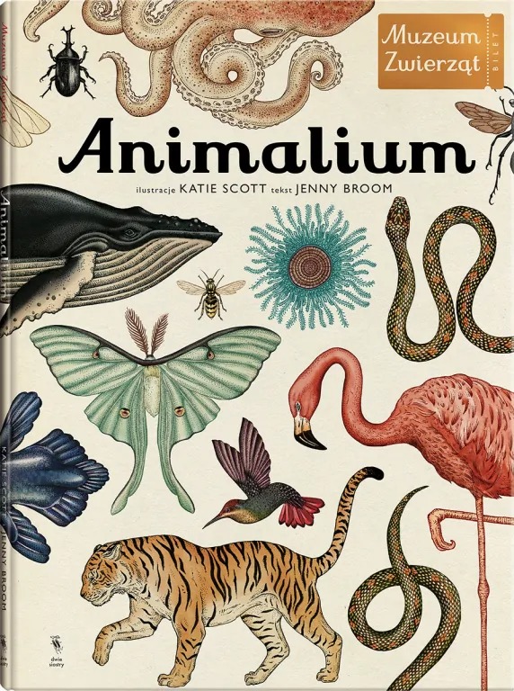 książka- Jenny Broom, “Animalium. Muzeum zwierząt”