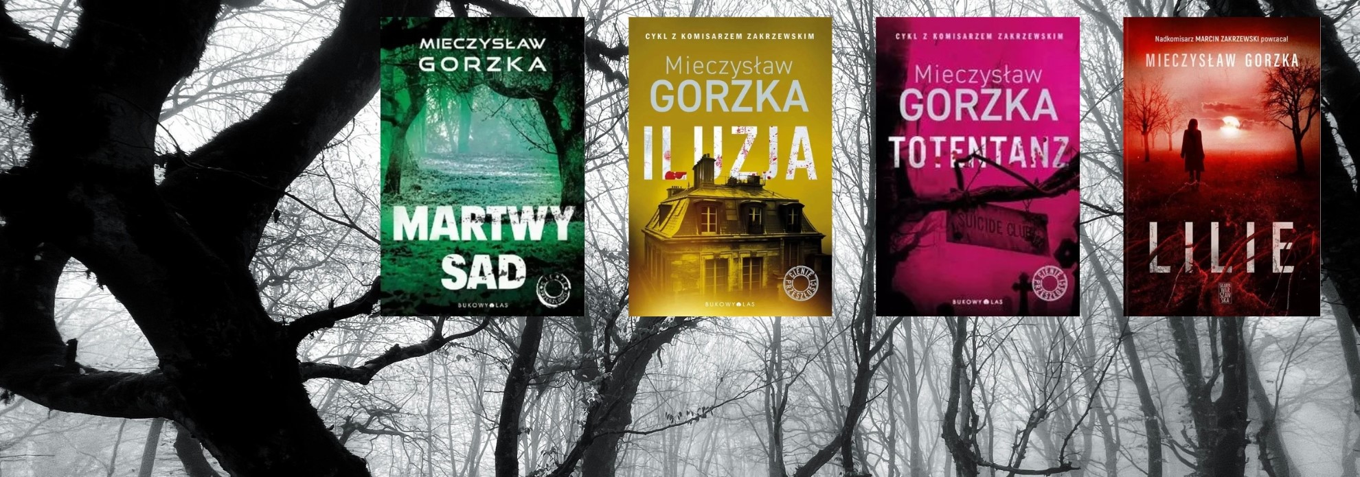 Kolejność czytania serii „Cienie przeszłości”- Mieczysław Gorzka