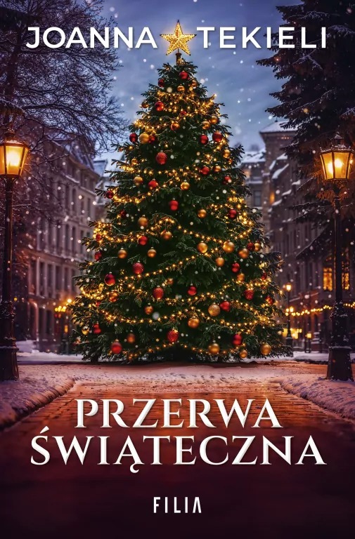Książka "Przerwa świąteczna"