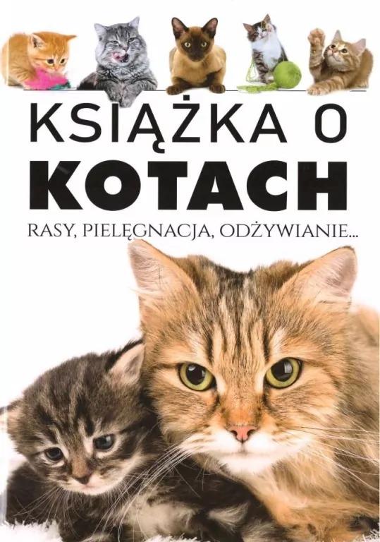 książka Książka o kotach