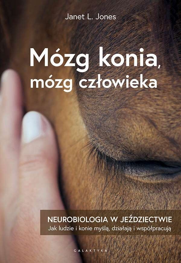 książka Mózg konia, mózg człowieka