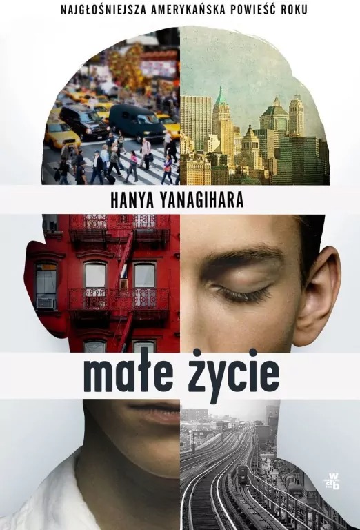 książka Małe życie