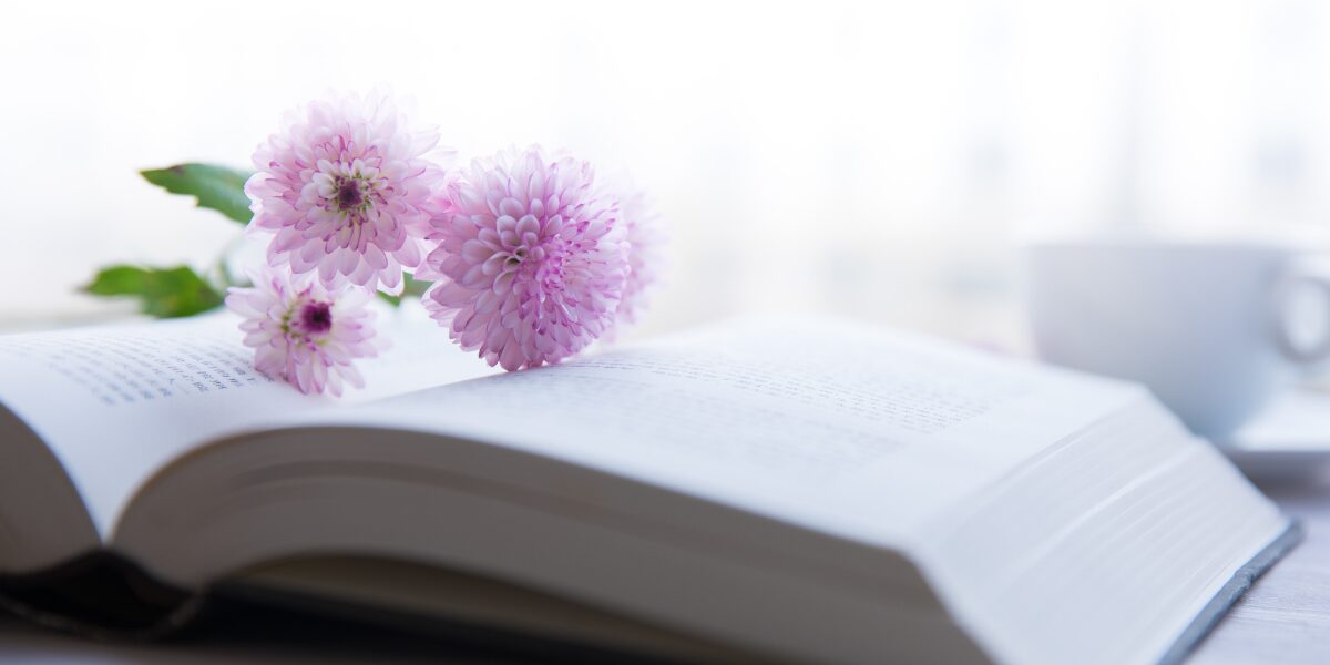 Książki obyczajowe – 8 najlepszych propozycji
