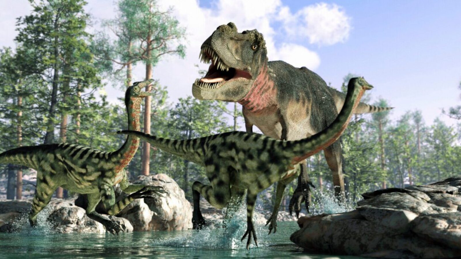 Książki o dinozaurach dla 6-latka – 8 polecanych
